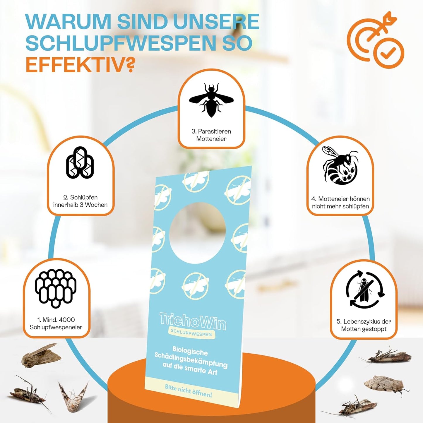 (3-fach-Kur) - Trichowin™ Premium Schlupfwespen gegen Lebensmittel- und Kleidermotten aus AT