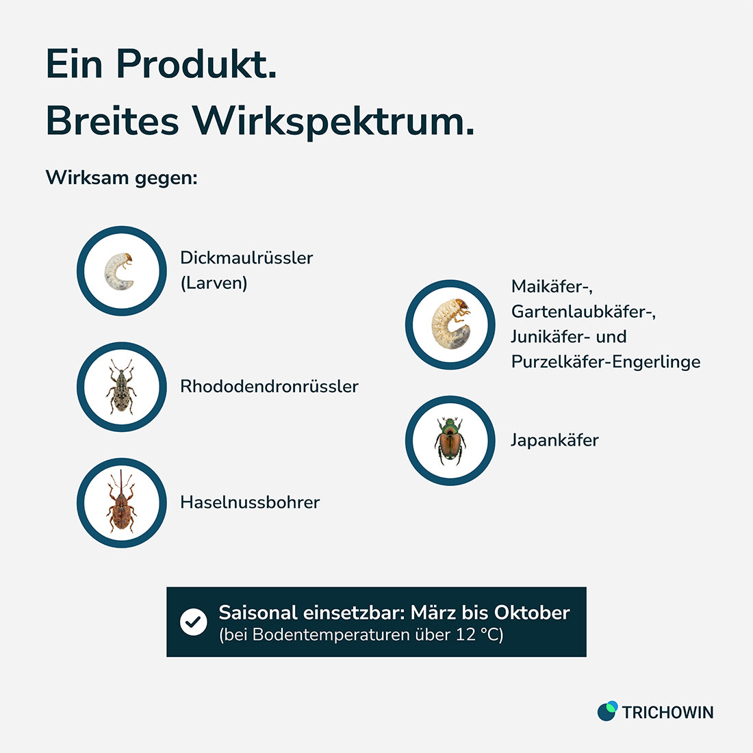 HB-Nematoden gegen Dickmaulrüssler und Engerlinge
