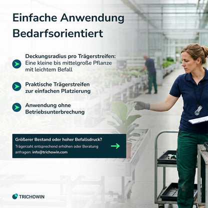 Florfliegen gegen Blattläuse