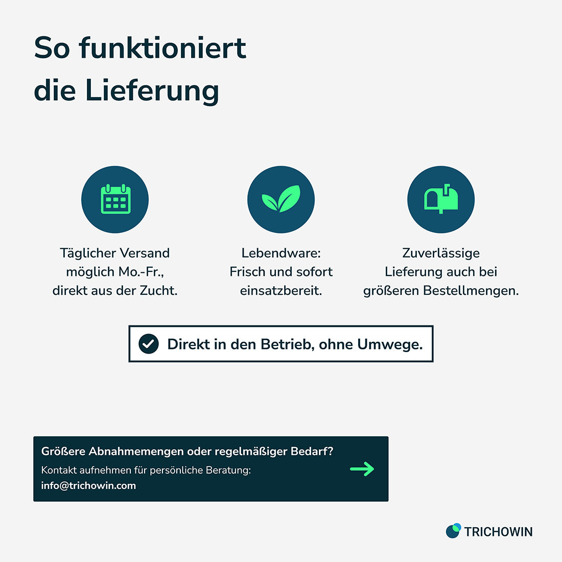Florfliegen gegen Blattläuse
