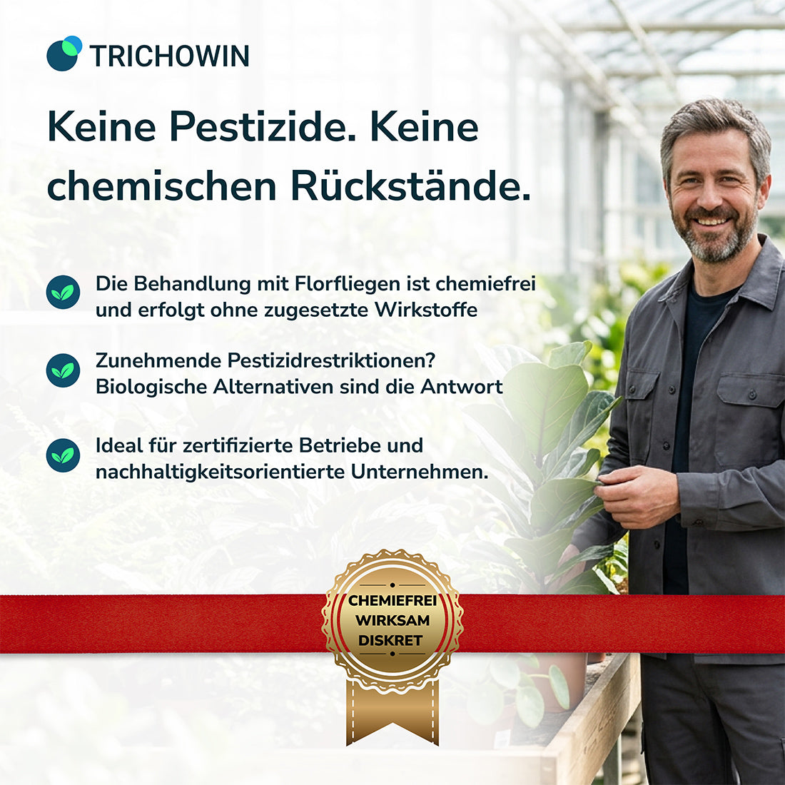 Florfliegen gegen Blattläuse