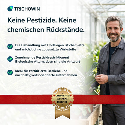 Florfliegen gegen Blattläuse