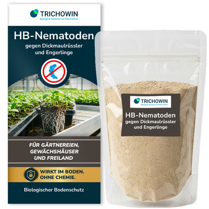 HB-Nematoden gegen Dickmaulrüssler und Engerlinge