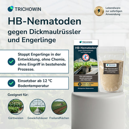 HB-Nematoden gegen Dickmaulrüssler und Engerlinge
