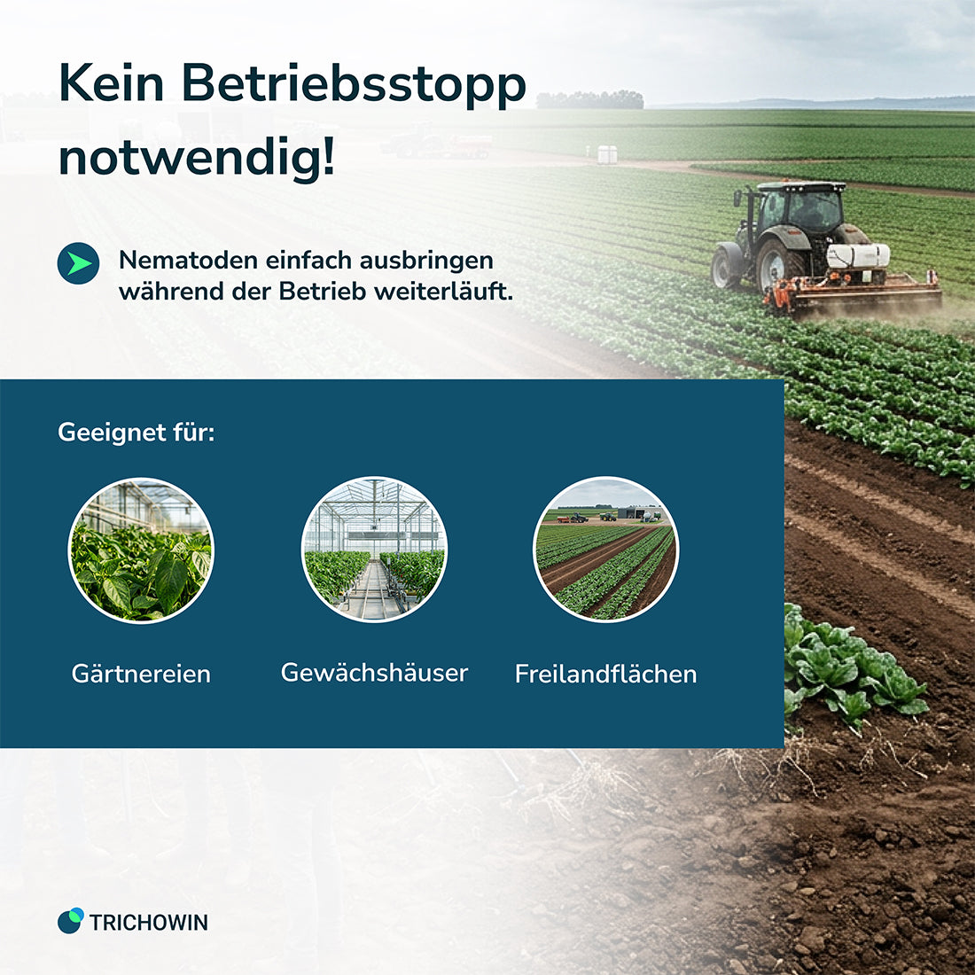 HB-Nematoden gegen Dickmaulrüssler und Engerlinge