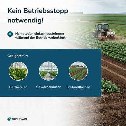 HB-Nematoden gegen Dickmaulrüssler und Engerlinge