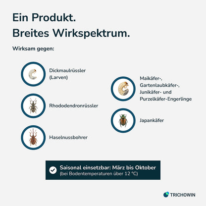 HB-Nematoden gegen Dickmaulrüssler und Engerlinge