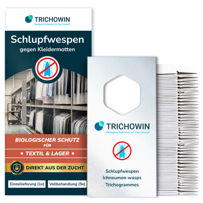 Schlupfwespen gegen Kleidermotten