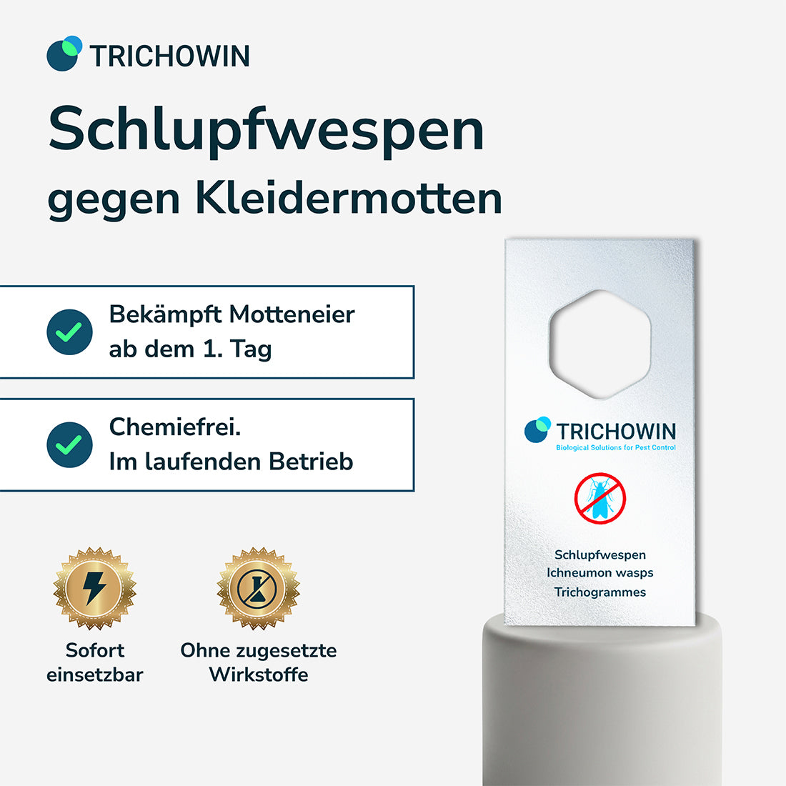 Schlupfwespen gegen Kleidermotten