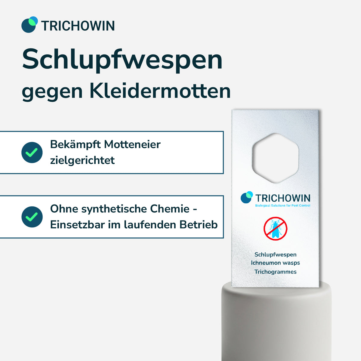 Schlupfwespen gegen Kleidermotten