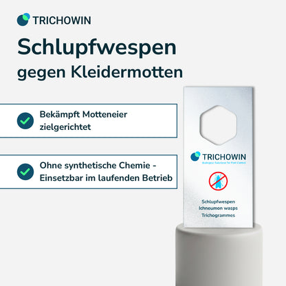 Schlupfwespen gegen Kleidermotten