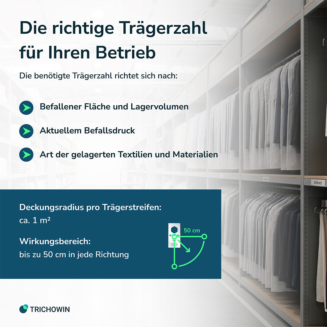 Schlupfwespen gegen Kleidermotten