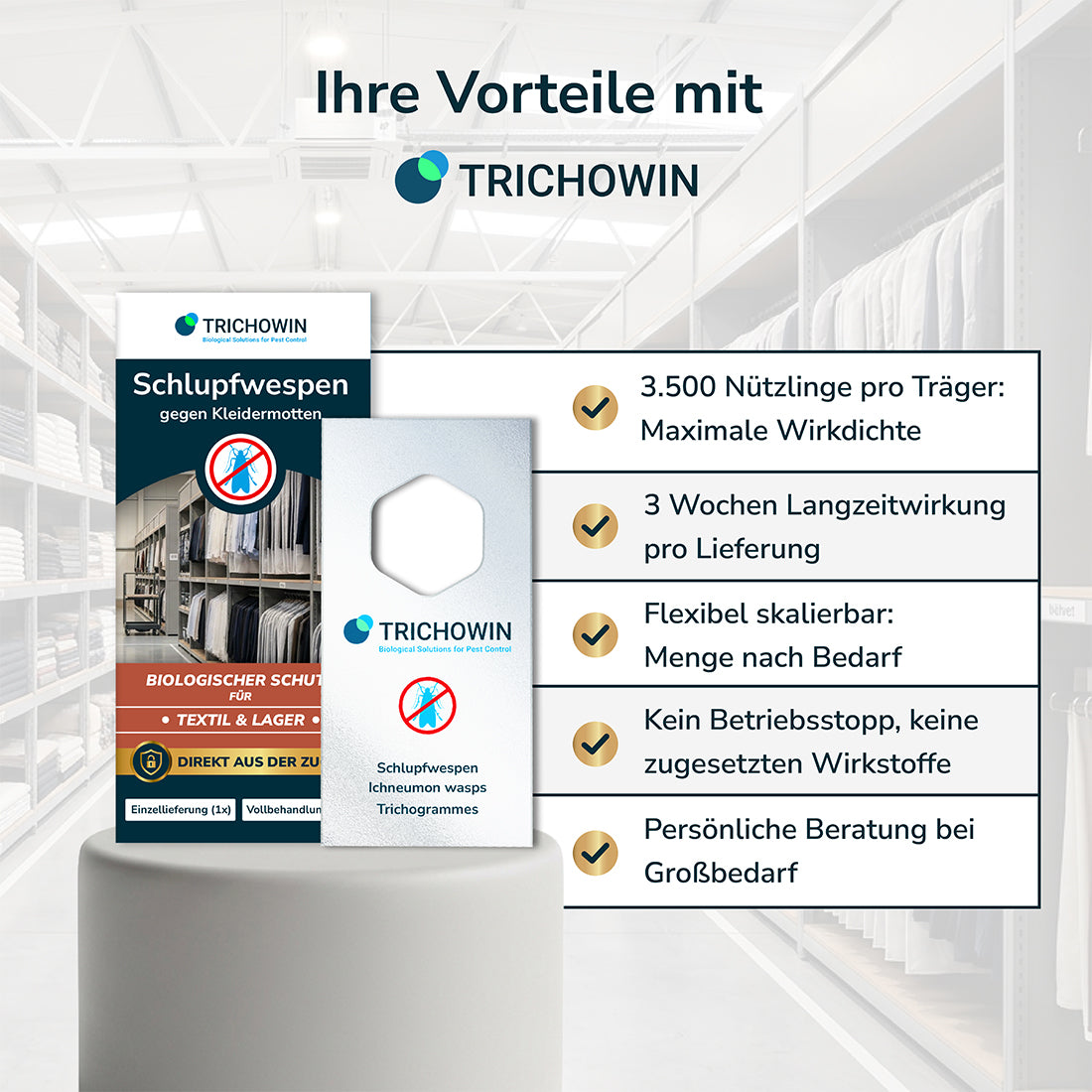 Schlupfwespen gegen Kleidermotten