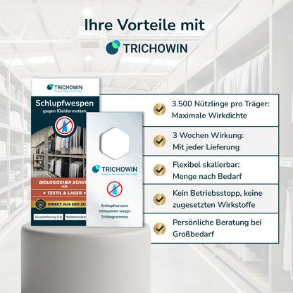 Schlupfwespen gegen Kleidermotten