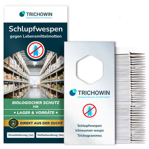 Schlupfwespen gegen Lebensmittelmotten