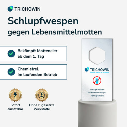 Schlupfwespen gegen Lebensmittelmotten