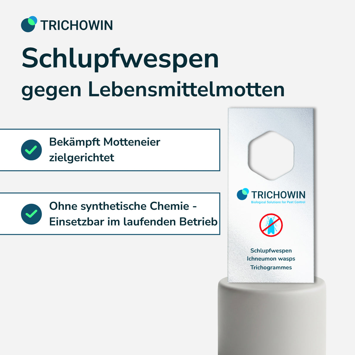 Schlupfwespen gegen Lebensmittelmotten
