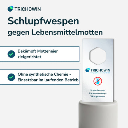 Schlupfwespen gegen Lebensmittelmotten