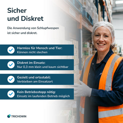 Schlupfwespen gegen Lebensmittelmotten
