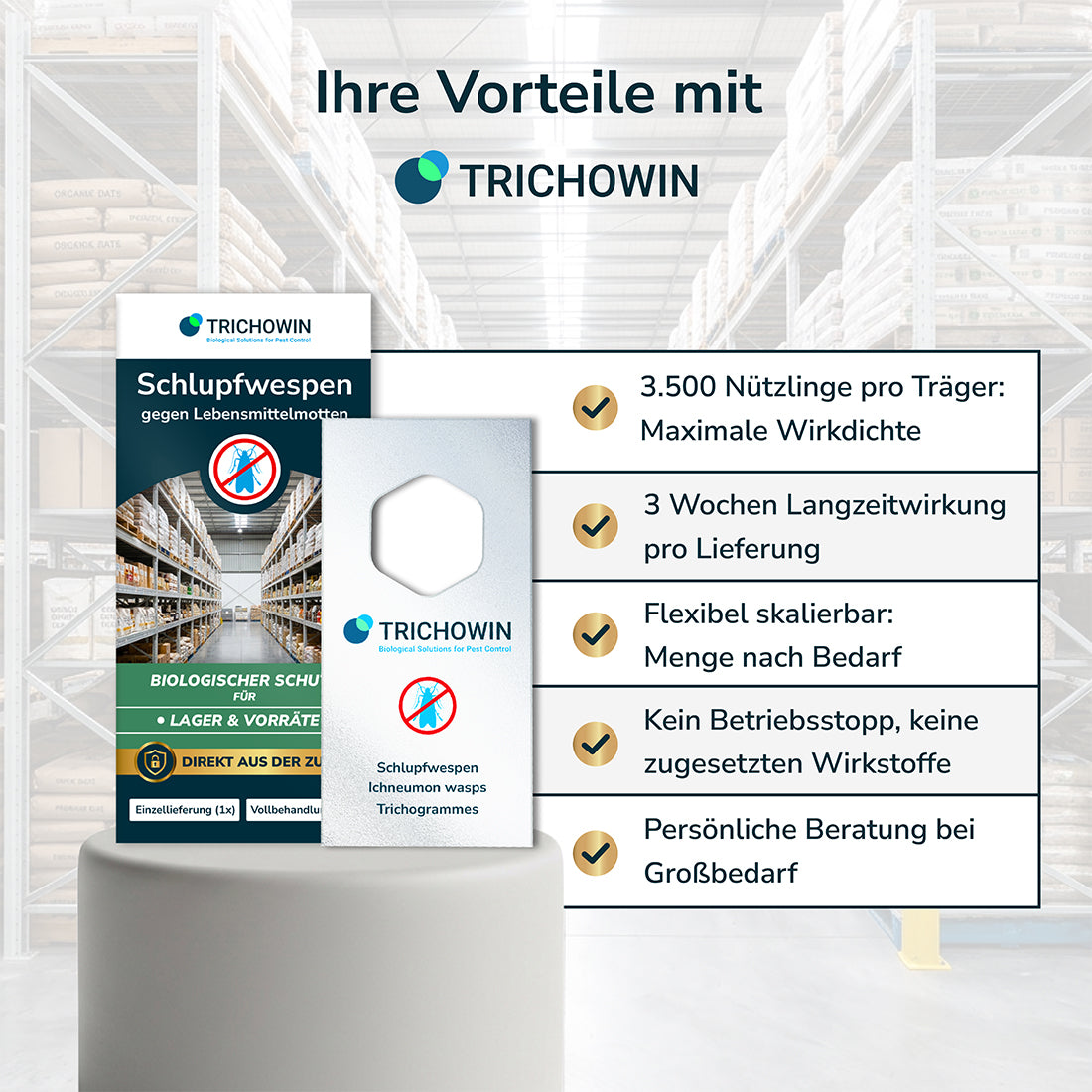 Schlupfwespen gegen Lebensmittelmotten