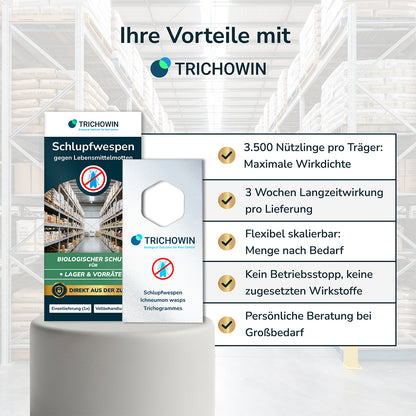 Schlupfwespen gegen Lebensmittelmotten