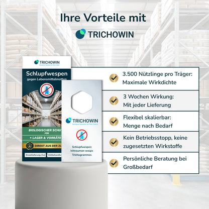 Schlupfwespen gegen Lebensmittelmotten