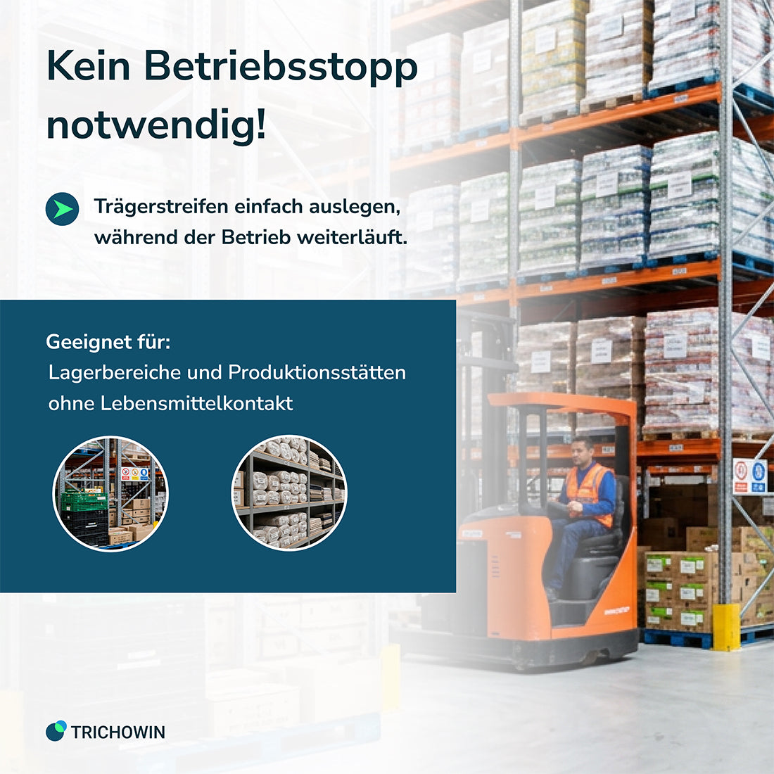 Schlupfwespen gegen Lebensmittelmotten