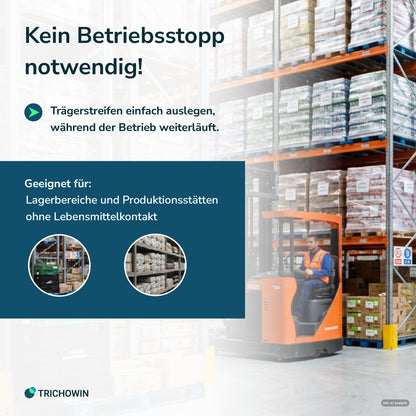 Schlupfwespen gegen Lebensmittelmotten