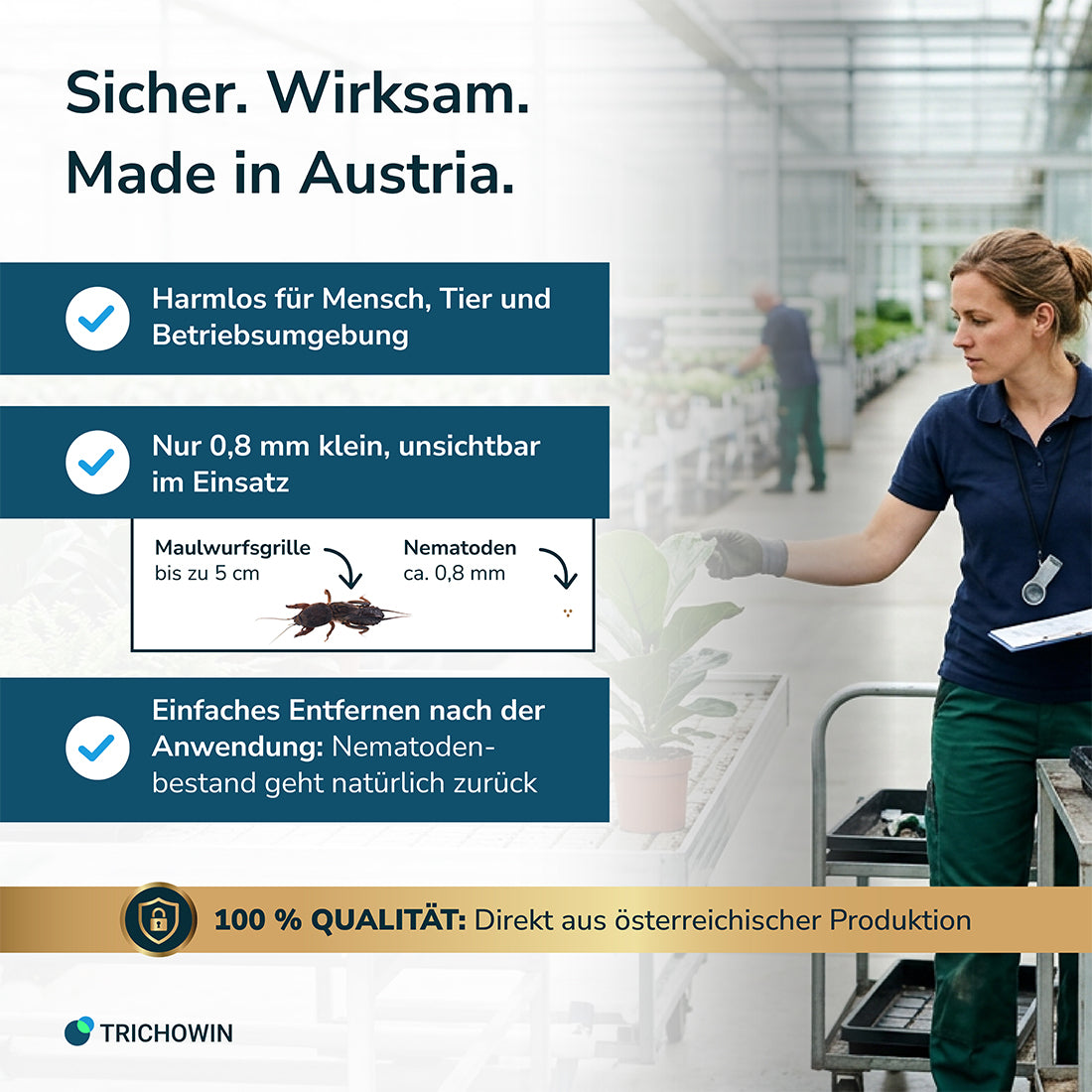 SC-Nematoden gegen Maulwurfsgrillen, Wiesenschnaken und Erdraupen