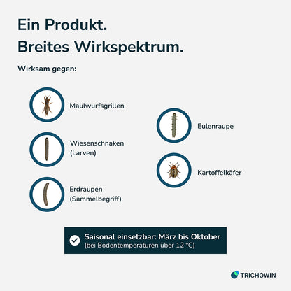SC-Nematoden gegen Maulwurfsgrillen, Wiesenschnaken und Erdraupen