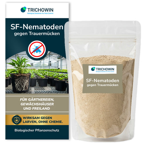 SF-Nematoden gegen Trauermücken