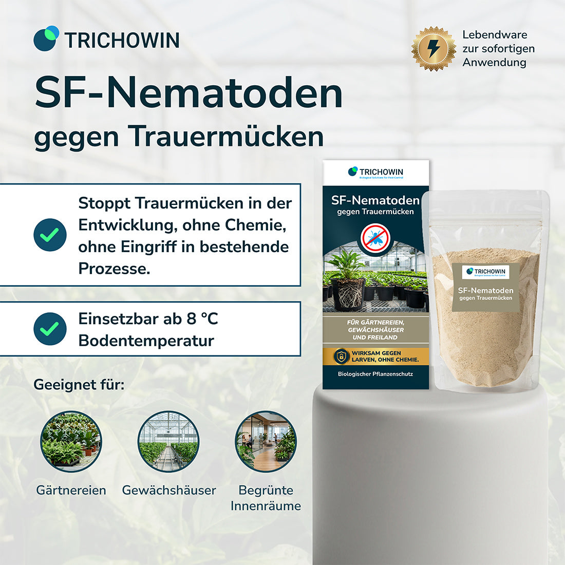 SF-Nematoden gegen Trauermücken