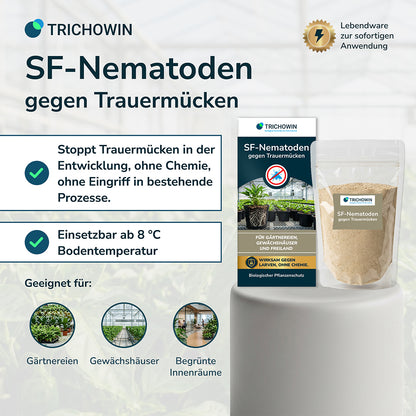 SF-Nematoden gegen Trauermücken
