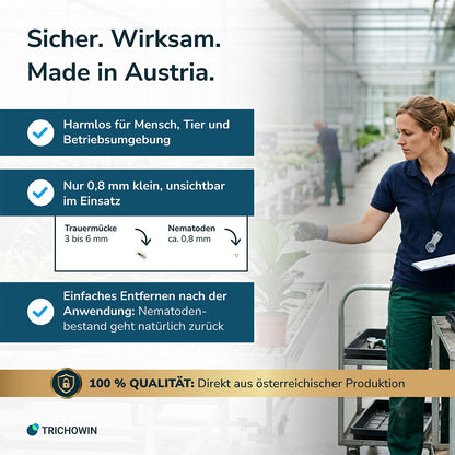 SF-Nematoden gegen Trauermücken