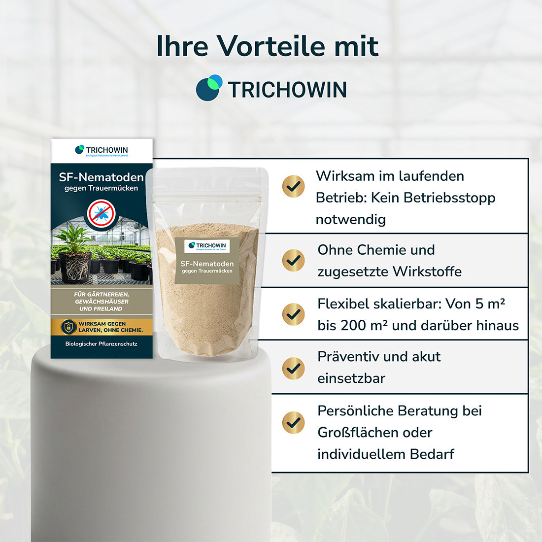 SF-Nematoden gegen Trauermücken