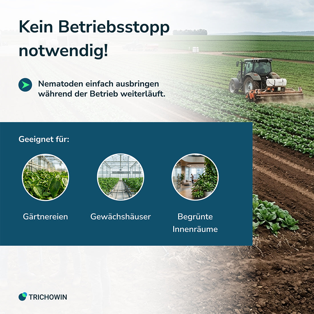 SF-Nematoden gegen Trauermücken