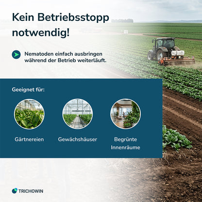 SF-Nematoden gegen Trauermücken