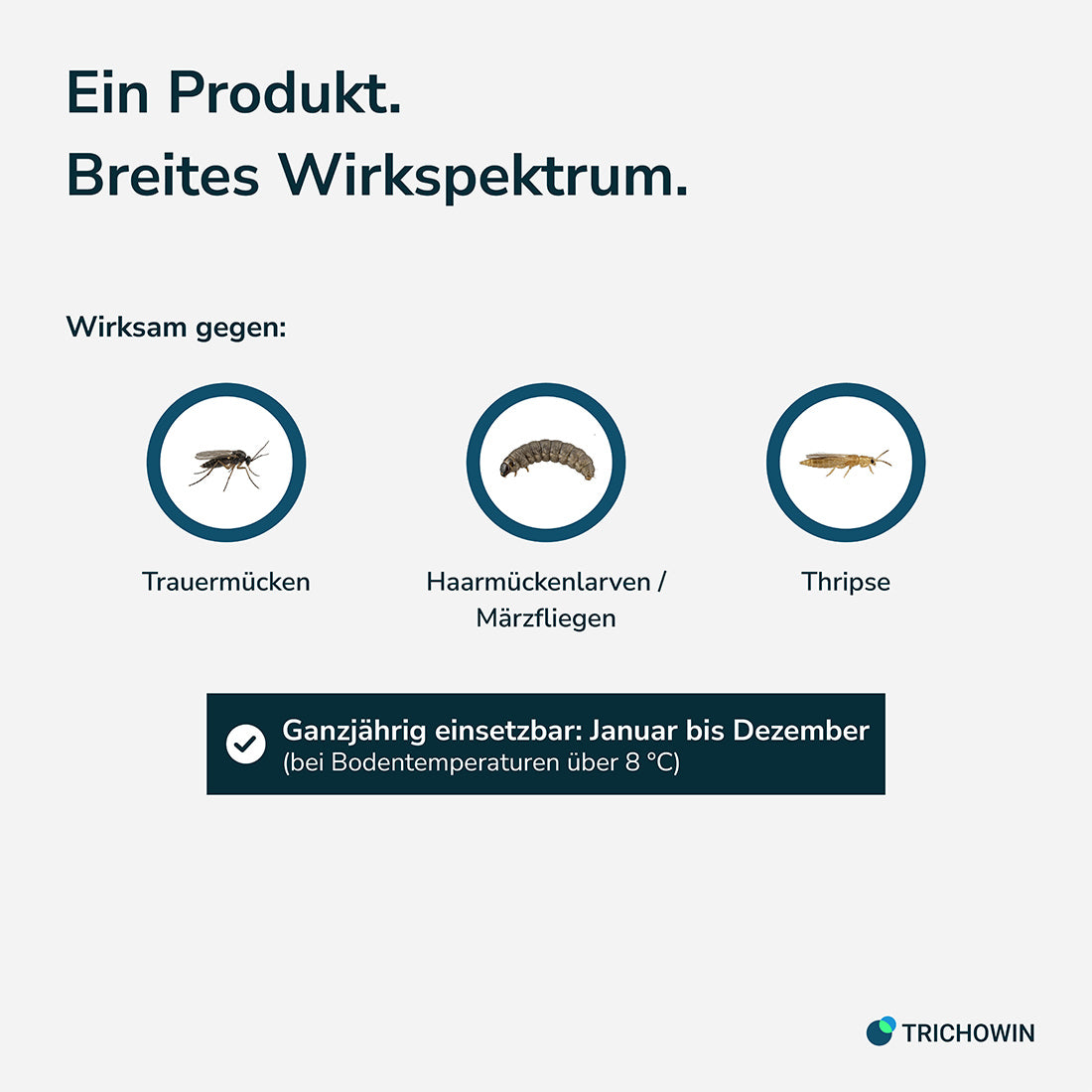 SF-Nematoden gegen Trauermücken