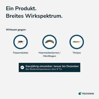 SF-Nematoden gegen Trauermücken