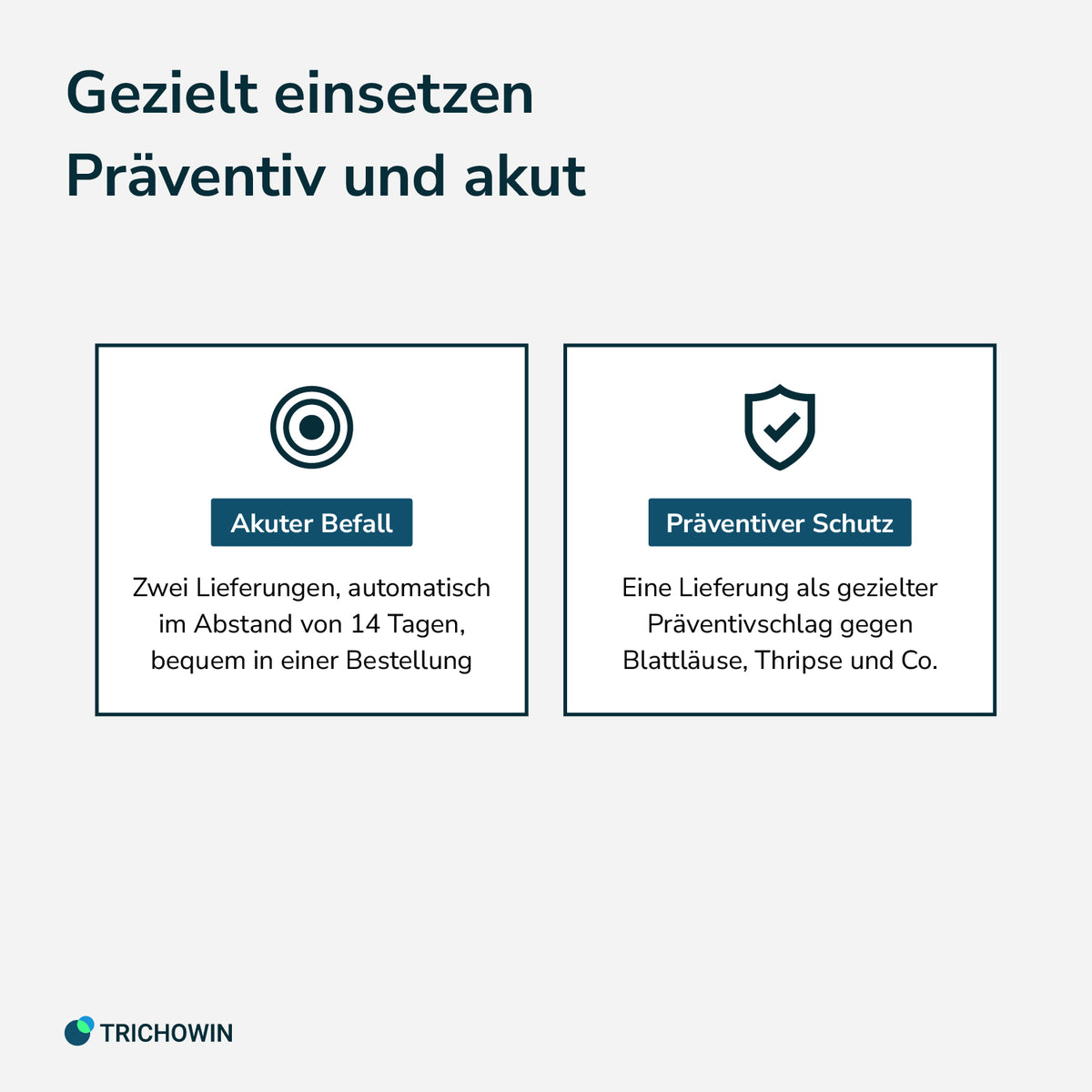 Florfliegen gegen Blattläuse