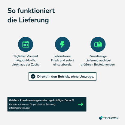 Florfliegen gegen Blattläuse