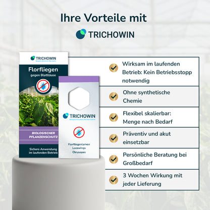 Florfliegen gegen Blattläuse