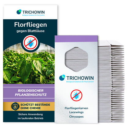 Florfliegen gegen Blattläuse
