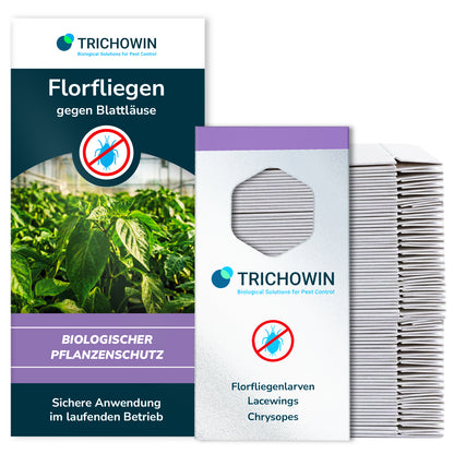Florfliegen gegen Blattläuse