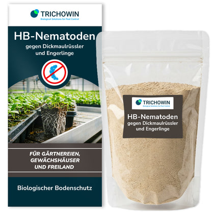 HB-Nematoden gegen Dickmaulrüssler und Engerlinge