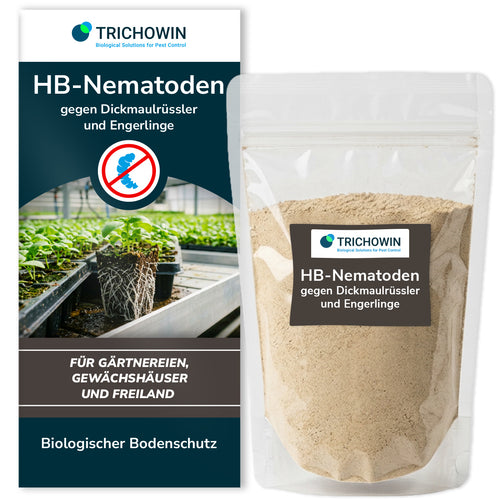 HB-Nematoden gegen Dickmaulrüssler und Engerlinge