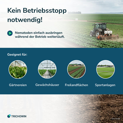 SC-Nematoden gegen Maulwurfsgrillen, Wiesenschnaken und Erdraupen
