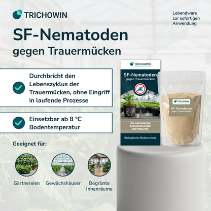 SF-Nematoden gegen Trauermücken