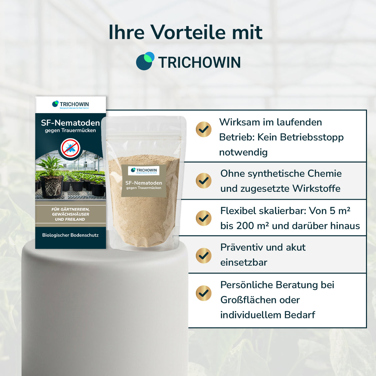 SF-Nematoden gegen Trauermücken