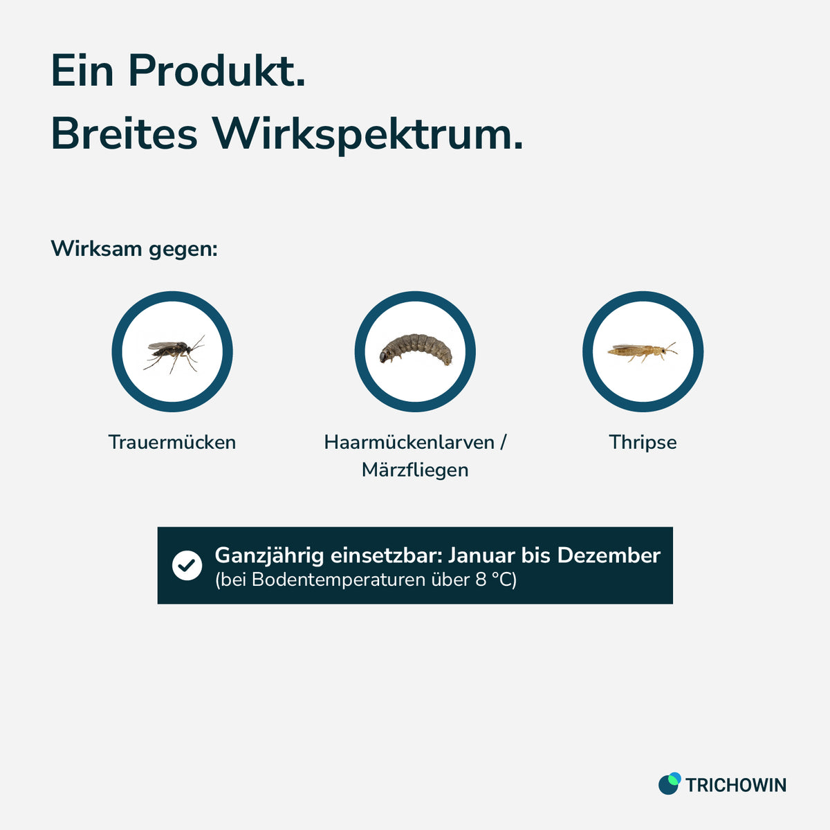 SF-Nematoden gegen Trauermücken